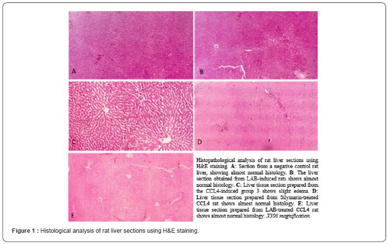 Click here to view Large Figure 1