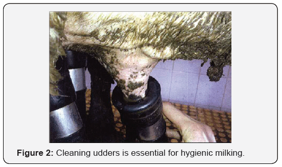 Click here to view Large Figure 2