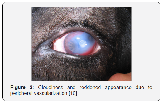 Click here to view Large Figure 2