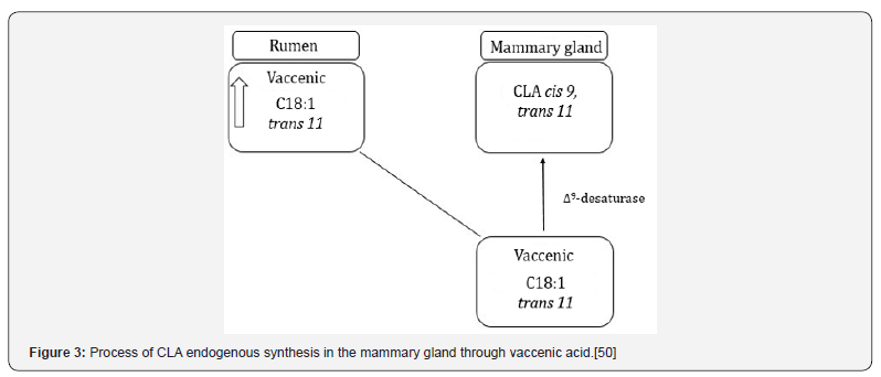 Click here to view Large Figure 3