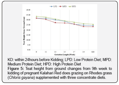 Click here to view Large Figure 5