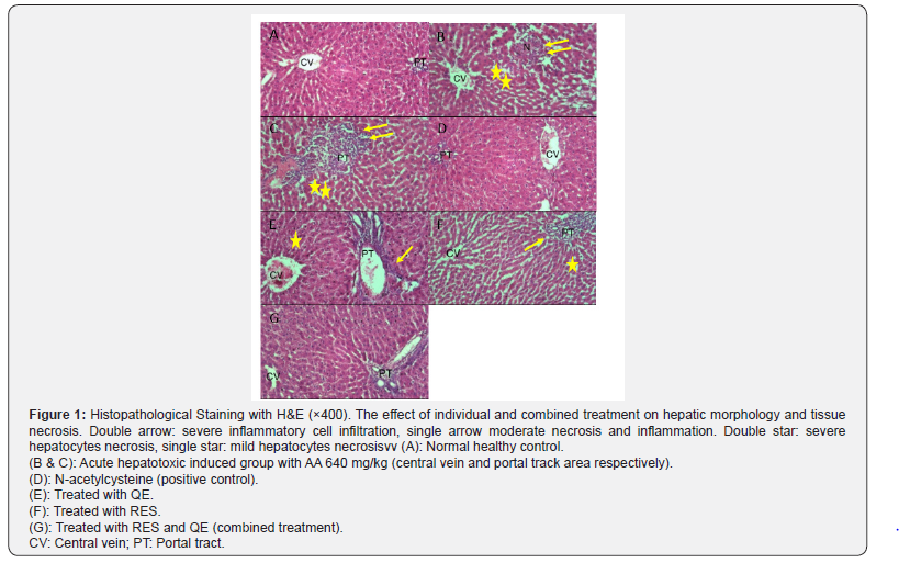 Click here to view Large Figure 1