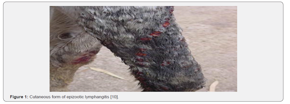 Click here to view Large Figure 1