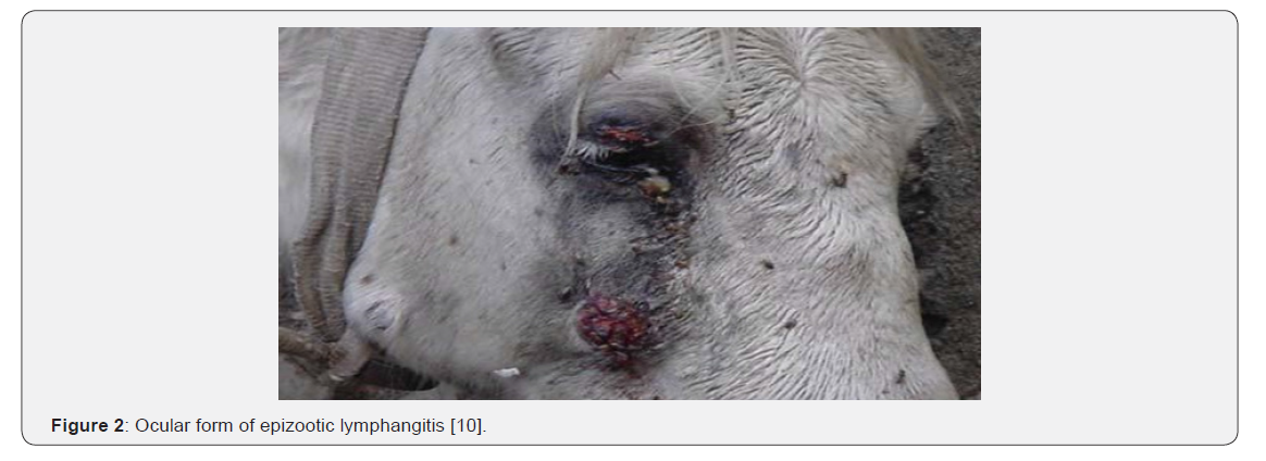 Click here to view Large Figure 2