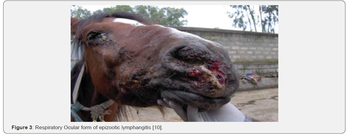 Click here to view Large Figure 3