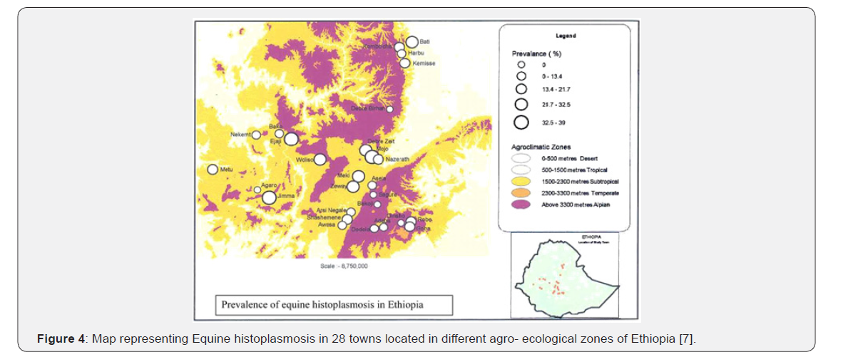 Click here to view Large Figure 4