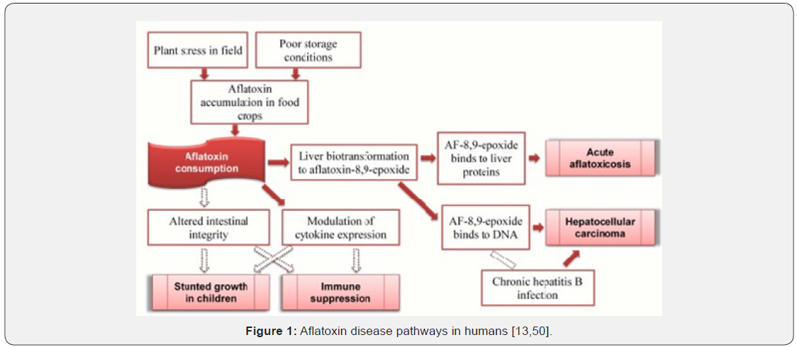 Click here to view Large Figure 1