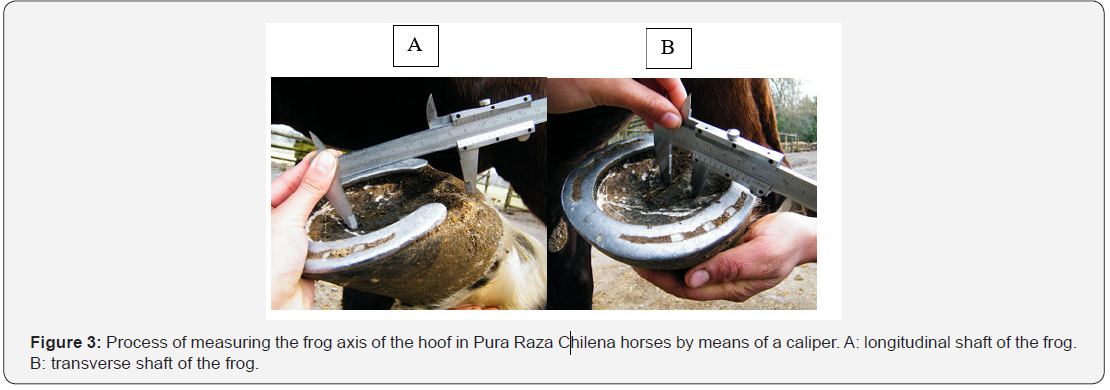 Click here to view Large Figure 3