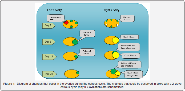 Click here to view Large Figure 1