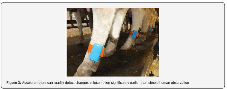 Click here to view Large Figure 3 Journal of Dairy & Veterinary Sciences