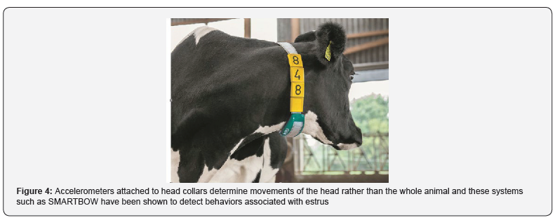 Click here to view Large Figure 4 Journal of Dairy & Veterinary Sciences