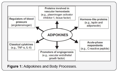 Click here to view Large Figure 1
