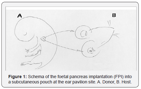 Click here to view Large Figure 1