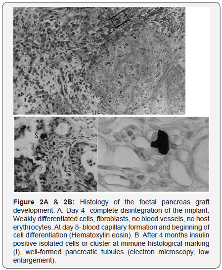 Click here to view Large Figure 2a&2b