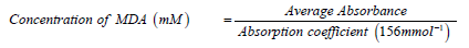 Click here to view Large Equation 1