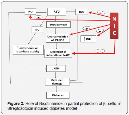 Click here to view Large Figure 2