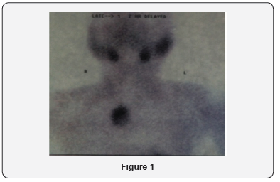 Click here to view Large Figure 1