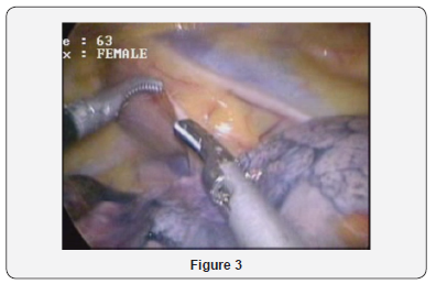 Click here to view Large Figure 3