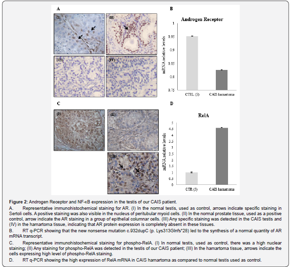 Click here to view Large Figure 2 Journal of Endocrinology and Thyroid Research