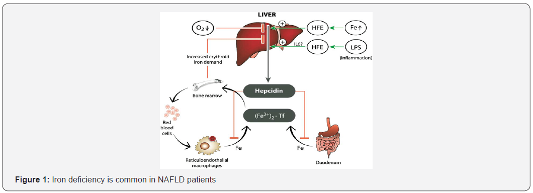 Click here to view Large Figure 1 Journal of Endocrinology and Thyroid Research