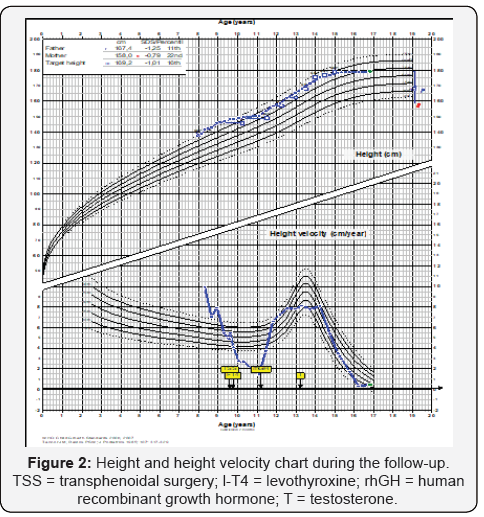 Click here to view Large Figure 2