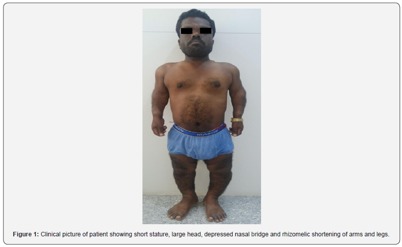 Click here to view Large Figure 1