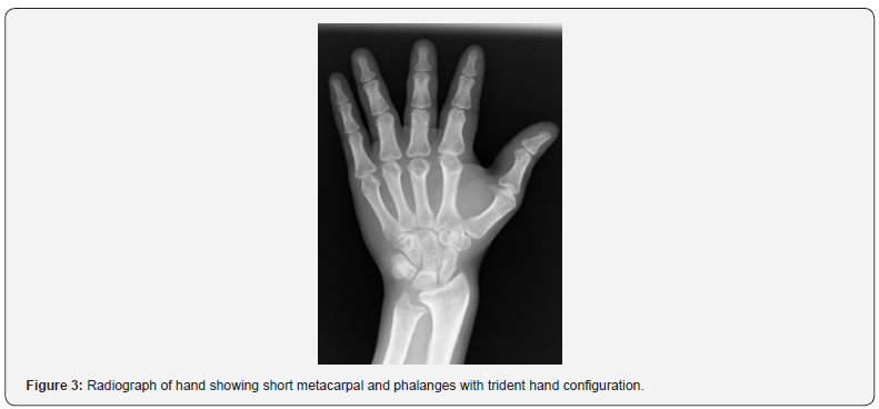 Click here to view Large Figure 3