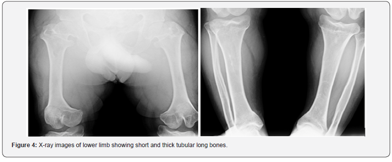Click here to view Large Figure 4
