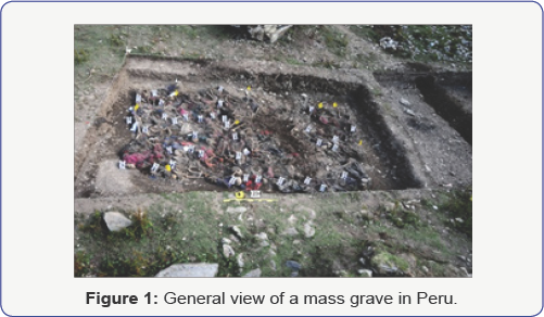 Click here to view Large Figure 1