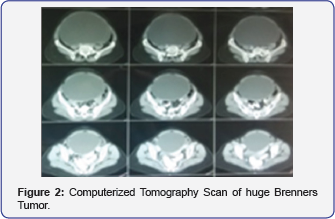 Click here to view Large Figure 2