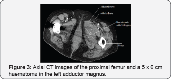 Click here to view Large Figure 3