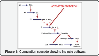 Click here to view Large Figure 1