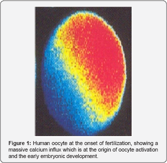 Click here to view Large Figure 1