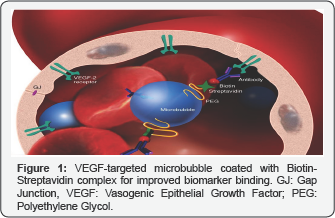 Click here to view Large Figure 1