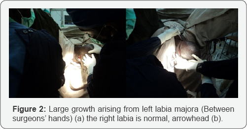 Click here to view Large Figure 2