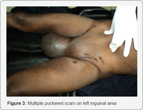 Click here to view Large Figure 3