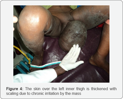 Click here to view Large Figure 4