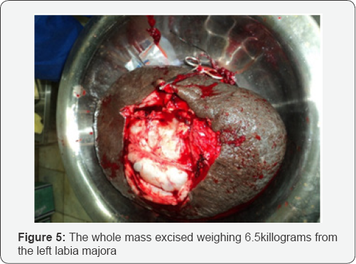 Click here to view Large Figure 5