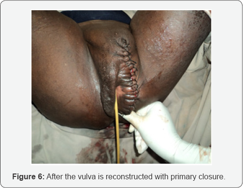 Click here to view Large Figure 6