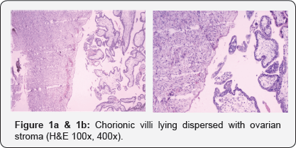Click here to view Large Figure 1