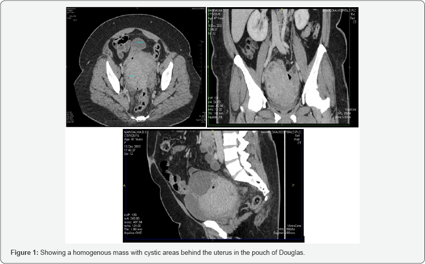 Click here to view Large Figure 1