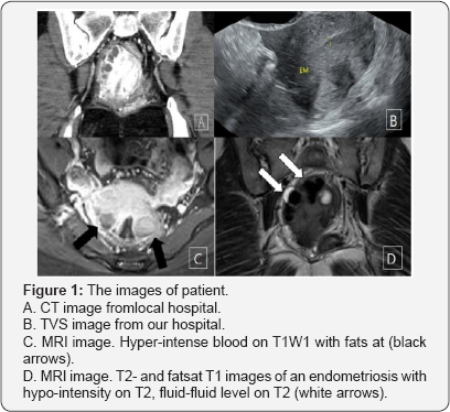 Click here to view Large Figure 1