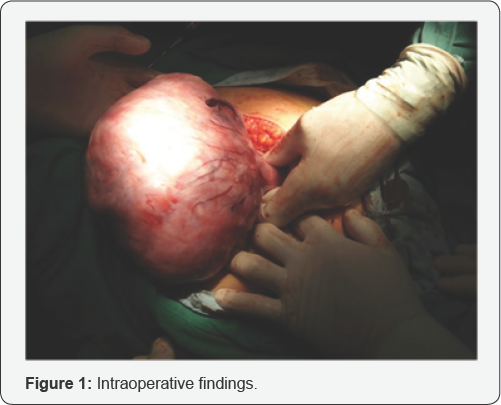 Click here to view Large Figure 1