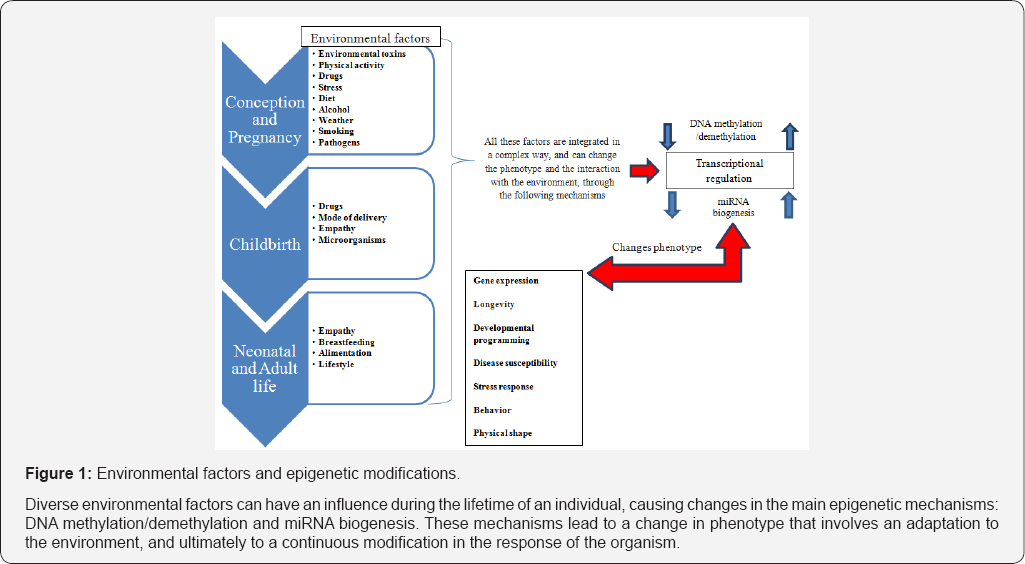 Click here to view Large Figure 1