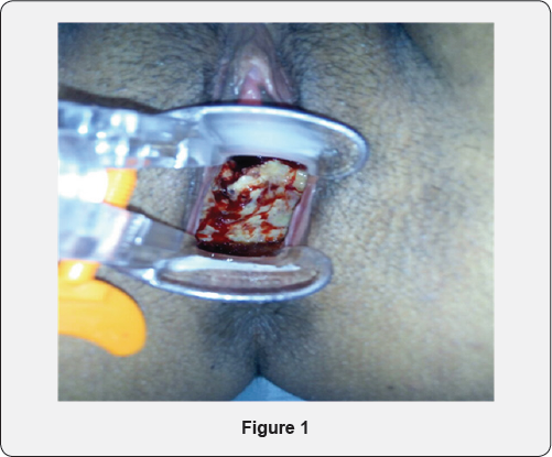 Click here to view Large Figure 1