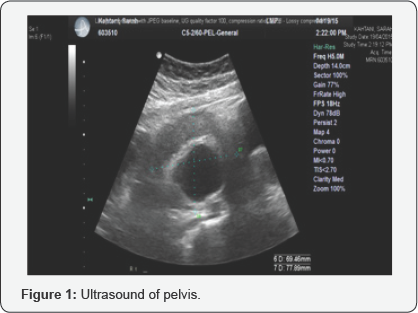 Click here to view Large Figure 1