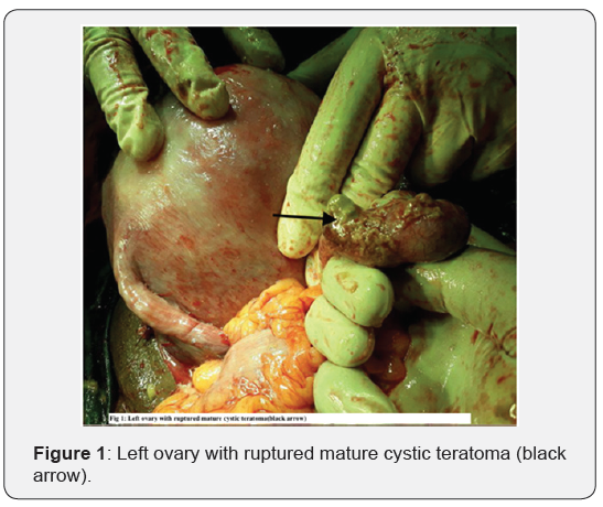 Click here to view Large Figure 1