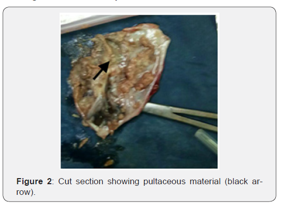 Click here to view Large Figure 2