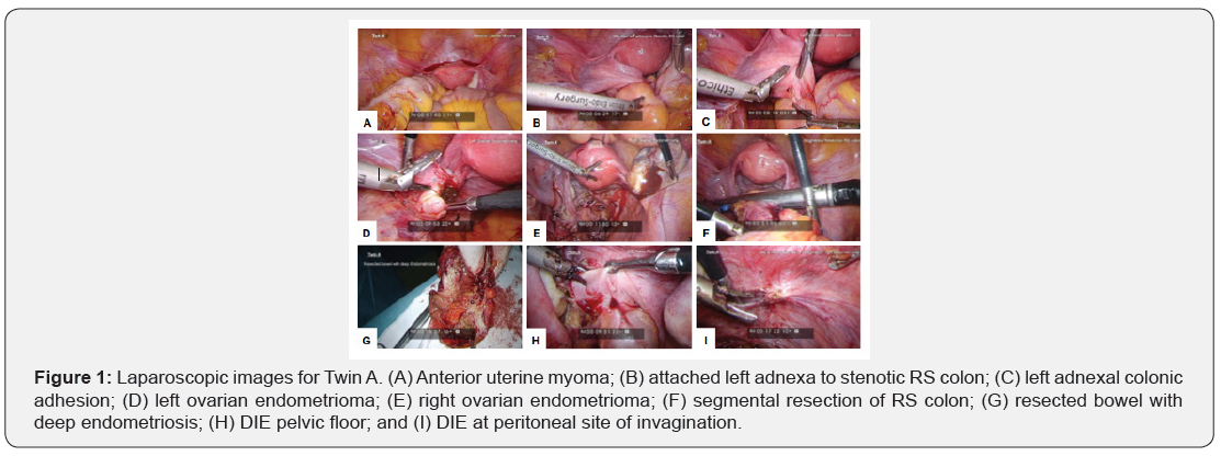 Click here to view Large Figure 1
