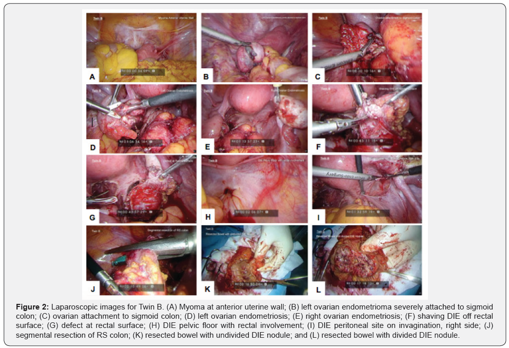 Click here to view Large Figure 2